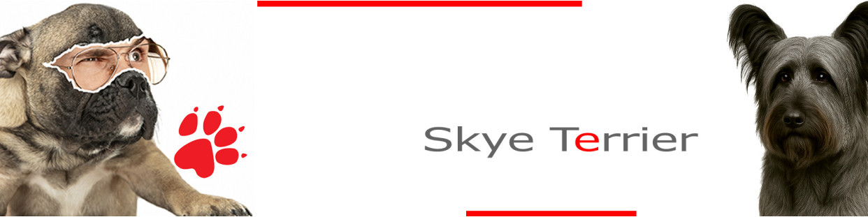 Skye Terrier – Stickers, pancartes et porte-clés pour passionnés