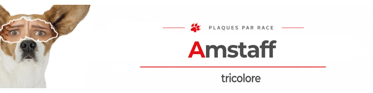 Amstaff Tricolore – Stickers, Plaques et Signalétique Chien