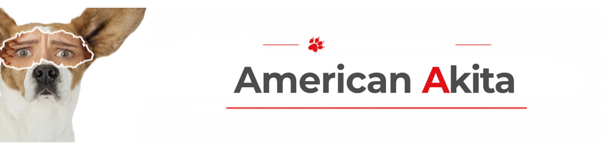 American Akita Beware of Dog Signs, Stickers & Keychains