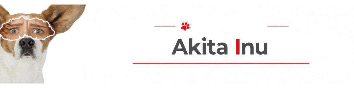Japanese Akita Beware of Dog Signs, Stickers & Keychains