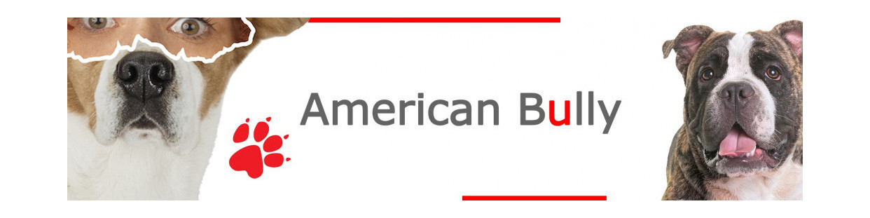 American Bully Dog Signs, Stickers & Keychains | Gate & Car Warning