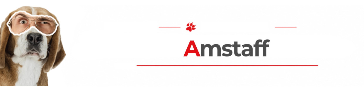 Amstaff Dog Signs, Stickers & Keychains | Gate & Car Warning