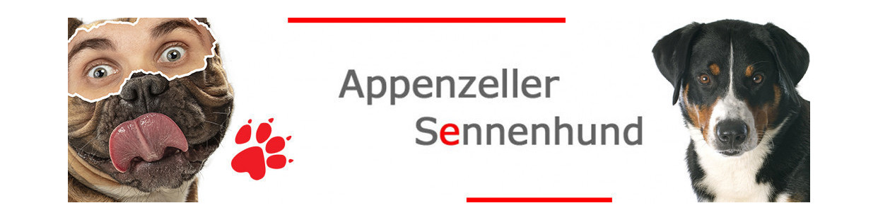 Appenzeller Sennenhund Dog Signs, Stickers & Keychains | Gate & Car