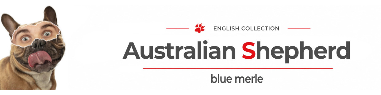 Australian Shepherd Blue Merle Signs, Stickers & Keychains Gate & Car