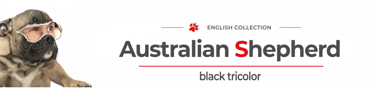 Black Tricolor Australian Shepherd Signs, Stickers & Keychains
