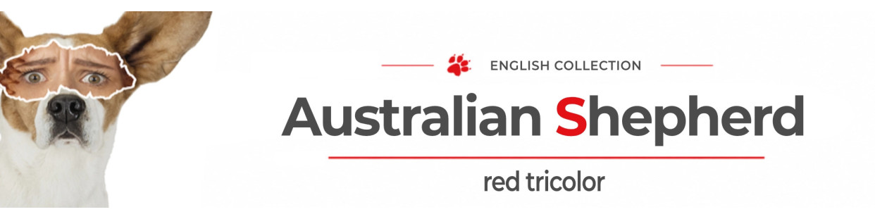 Red Tricolor Australian Shepherd Signs, Stickers & Keychains