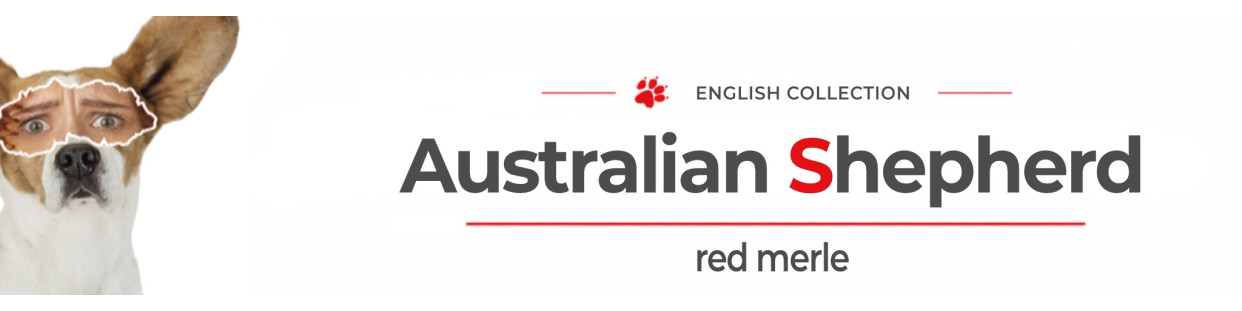 Red Merle Australian Shepherd Signs, Stickers & Keychains | Gate & Car