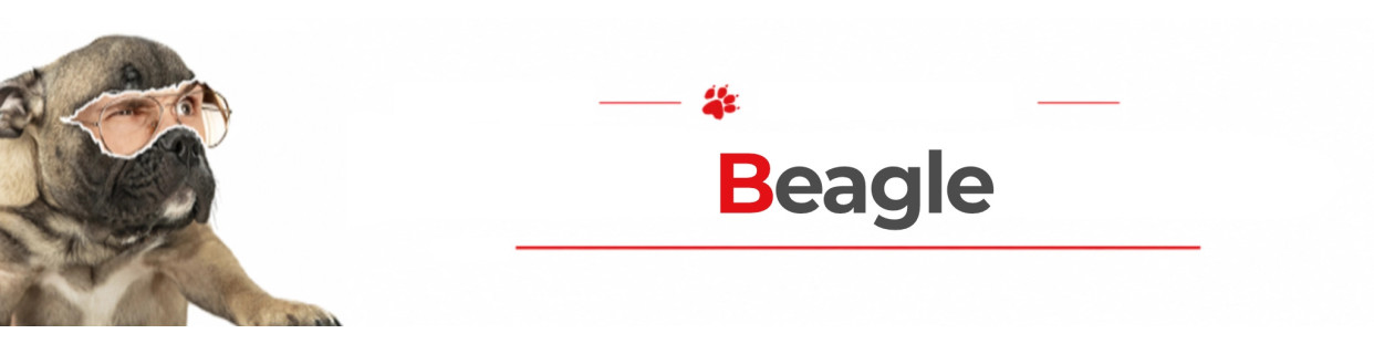 Beagle Dog Signs, Stickers & Keychains | Gate & Car Warning