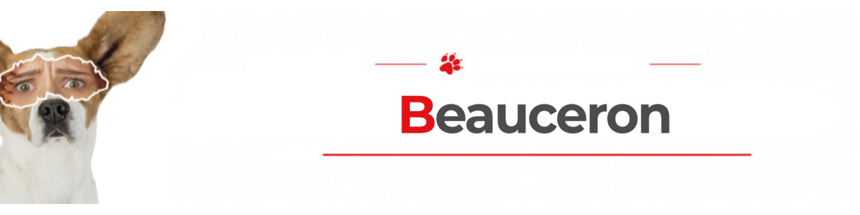 Beauceron Dog Signs, Stickers & Keychains | Gate & Car Warning