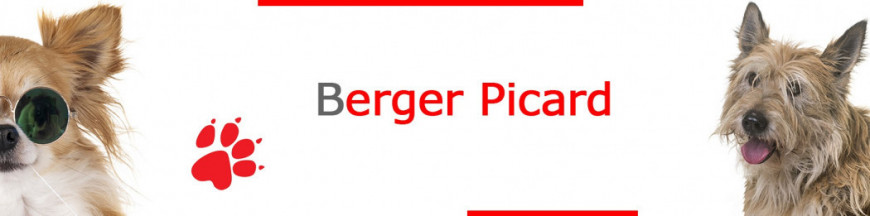 Berger Picard Dog Signs, Stickers & Keychains | Gate & Car Warning
