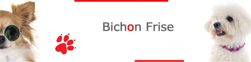 Bichon Frise Dog Signs, Stickers & Keychains | Gate & Car Warning