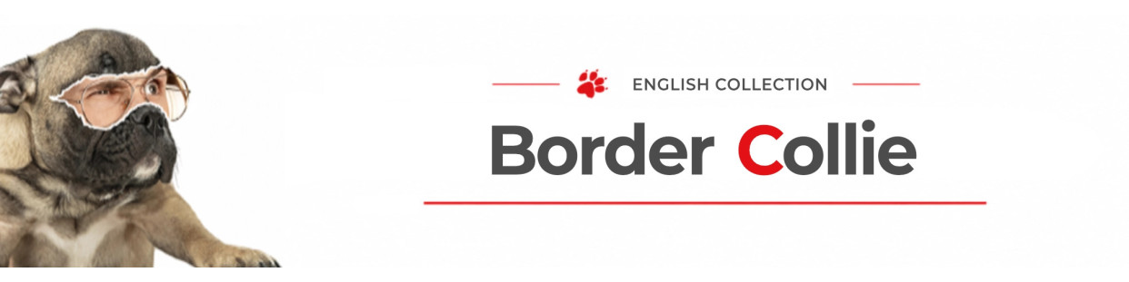 Border Collie Dog Signs, Stickers & Keychains | Gate & Car Warning