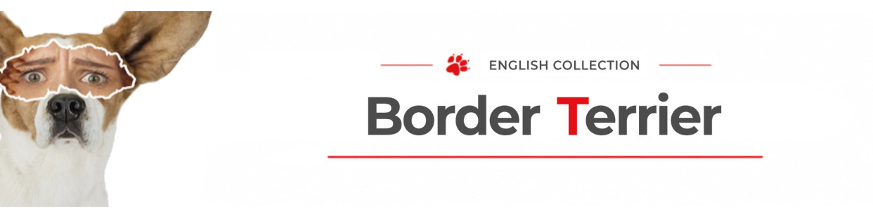 Border Terrier Dog Signs, Stickers & Keychains | Gate & Car Warning