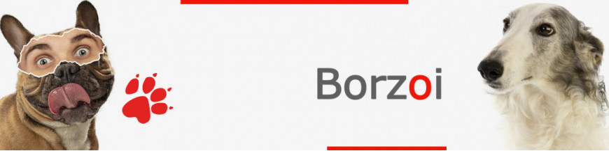 Borzoi Dog Signs, Stickers & Keychains | Gate & Car Warning