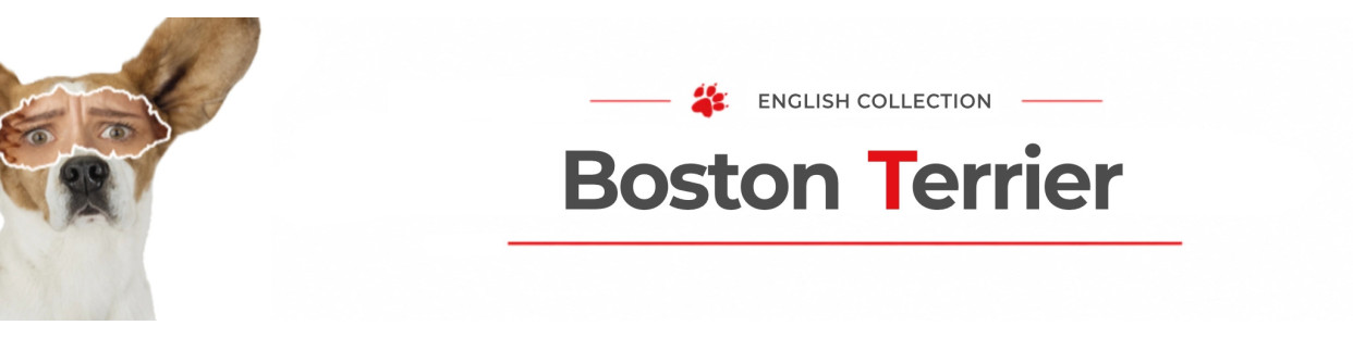 Boston Terrier Dog Signs, Stickers & Keychains | Gate & Car Warning