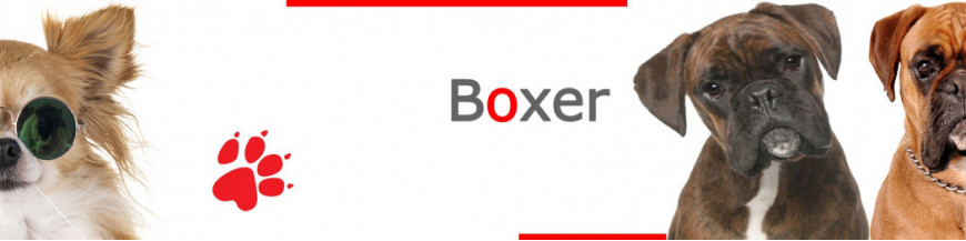 Boxer Dog Signs, Stickers & Keychains | 2 Colors Fawn & Brindle