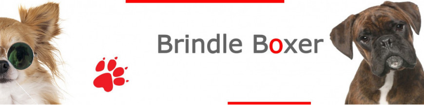 Brindle Boxer Dog Signs, Stickers & Keychains | Gate & Car