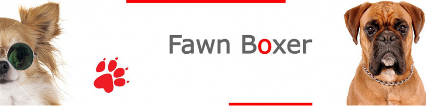 Fawn Boxer Dog Signs, Stickers & Keychains | Gate & Car