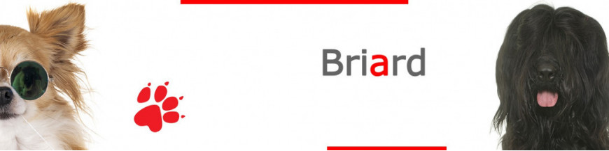 Briard Dog Signs, Stickers & Keychains | Gate & Car