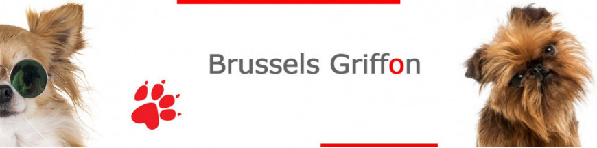 Brussels Griffon Signs, Stickers & Keychains | Gate & Car