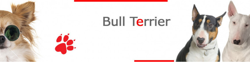Bull Terrier Signs, Stickers & Keychains | 4 Colors Collection