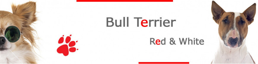 Red and White Bull Terrier Signs, Stickers & Keychains | Gate & Car