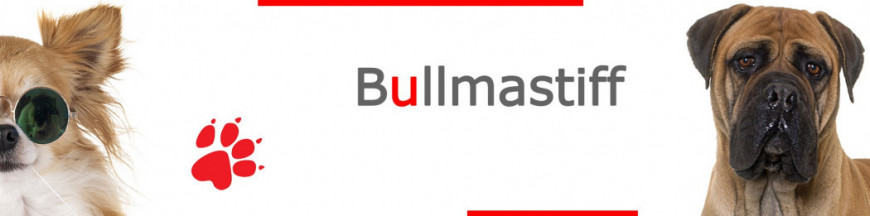 Bullmastiff Signs, Stickers & Keychains | Gate & Car