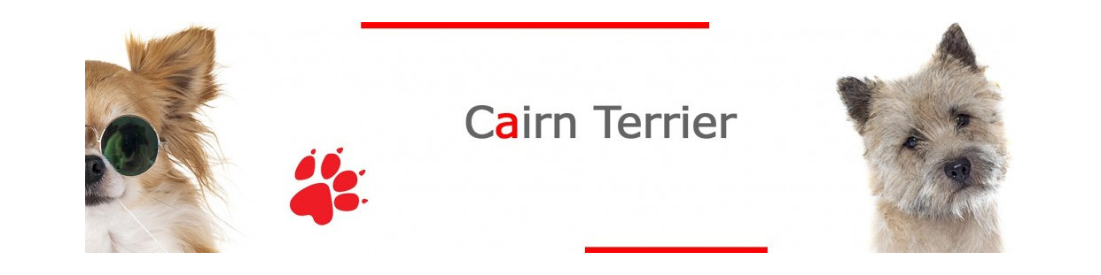 Cairn Terrier Signs, Plaques and Stickers