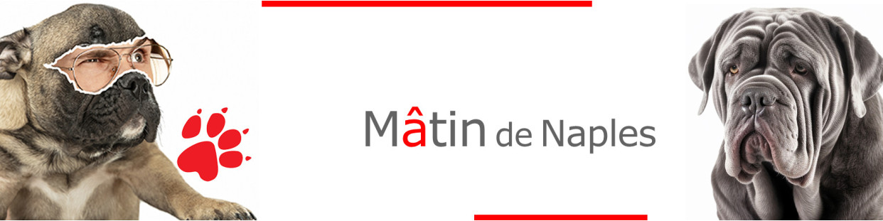 Mâtin de Naples – Plaques, stickers et porte-clés