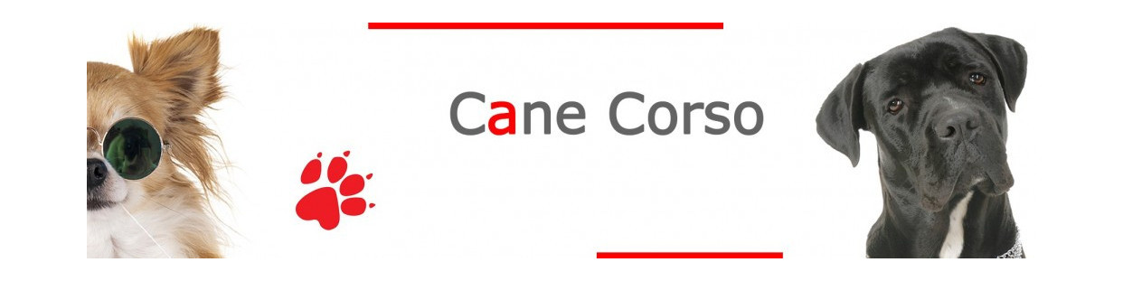 Cane Corso Signs, Plaques and Stickers