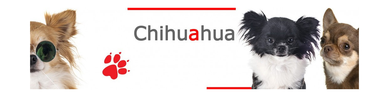 Chihuahua Signs, Plaques and Stickers