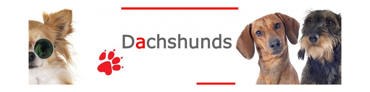 Dachshund Signs, Plaques and Stickers