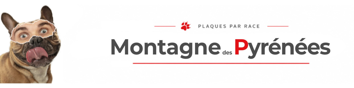 Montagne des Pyrénées – Plaques, stickers et porte-clés