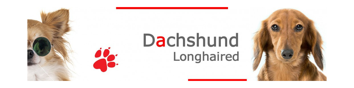 Long-Haired Dachshund Signs, Plaques and Stickers