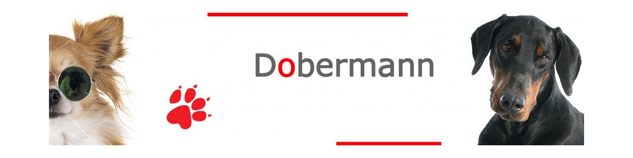 Doberman Signs, Stickers and Keychains