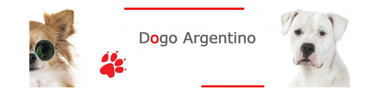 Dogo Argentino Signs, Stickers and Keychains
