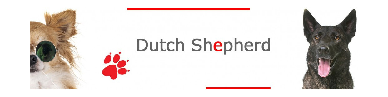 Dutch Shepherd Signs, Stickers and Keychains