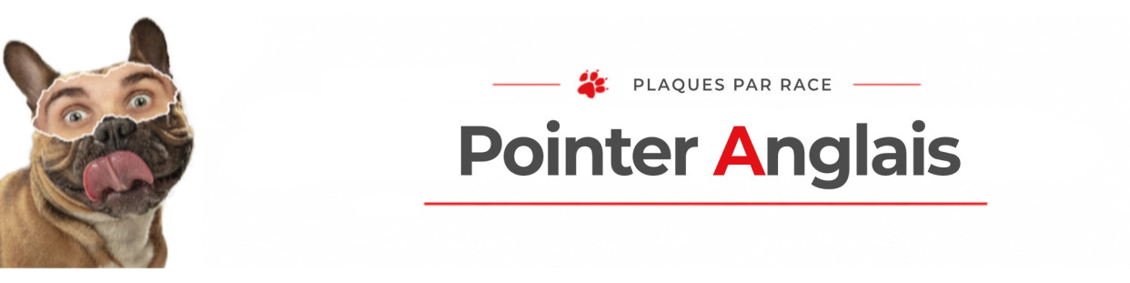 Pointer – Plaques, stickers et porte-clés