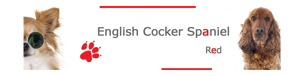 Red English Cocker Spaniel Signs, Stickers and Keychains