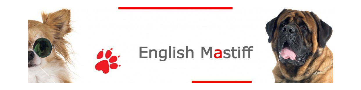 English Mastiff Signs, Stickers and Keychains
