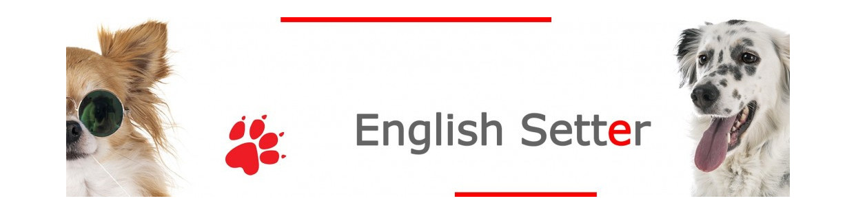 English Setter Signs, Stickers and Keychains