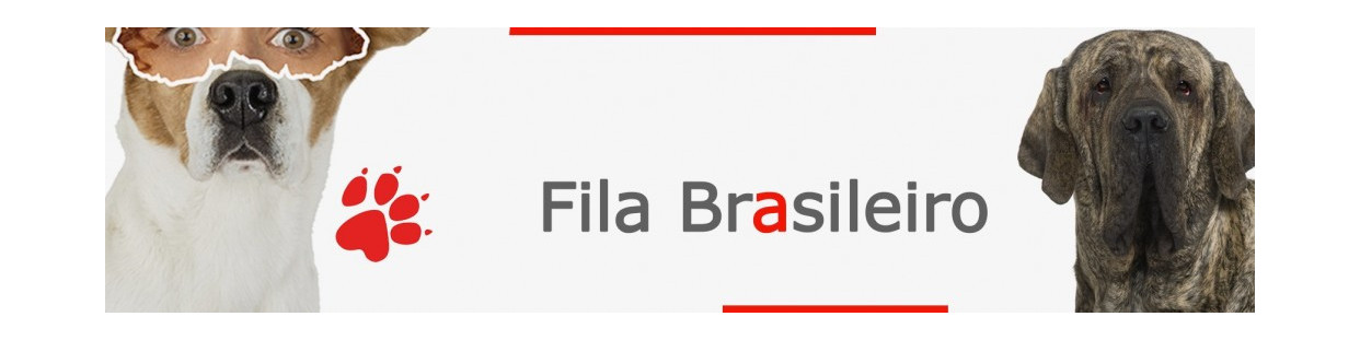 Fila Brasileiro Signs, Stickers & Keychains