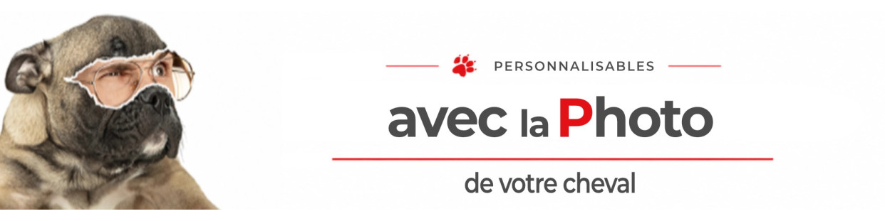 Plaques de box personnalisées avec la photo de votre cheval
