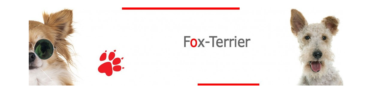 Fox Terrier Signs, Stickers & Keychains