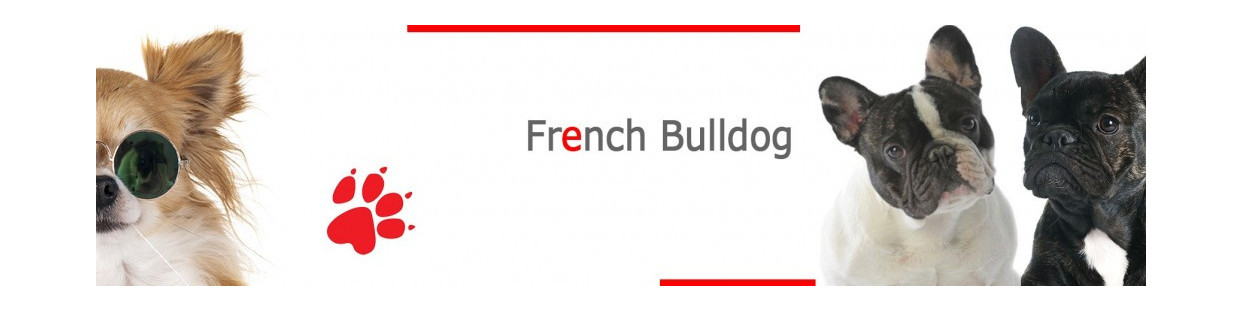 French Bulldog Signs, Stickers & Keychains by Colour