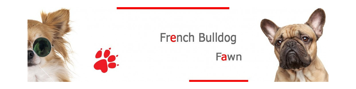 Fawn French Bulldog Signs, Stickers & Keychains