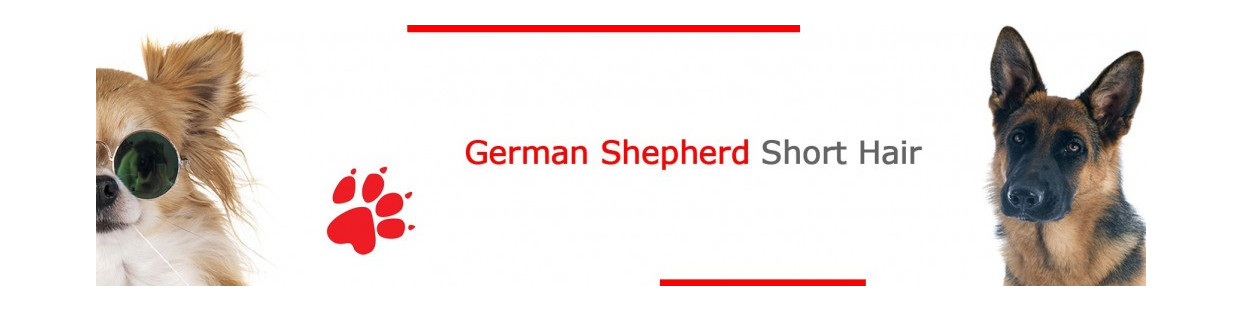 Short-Haired German Shepherd Signs, Stickers & Keychains
