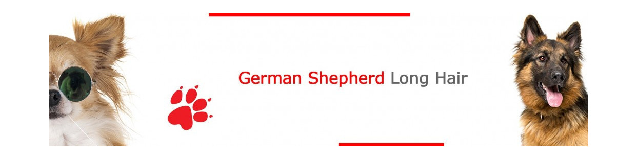 Long-Haired German Shepherd Signs, Stickers & Keychains