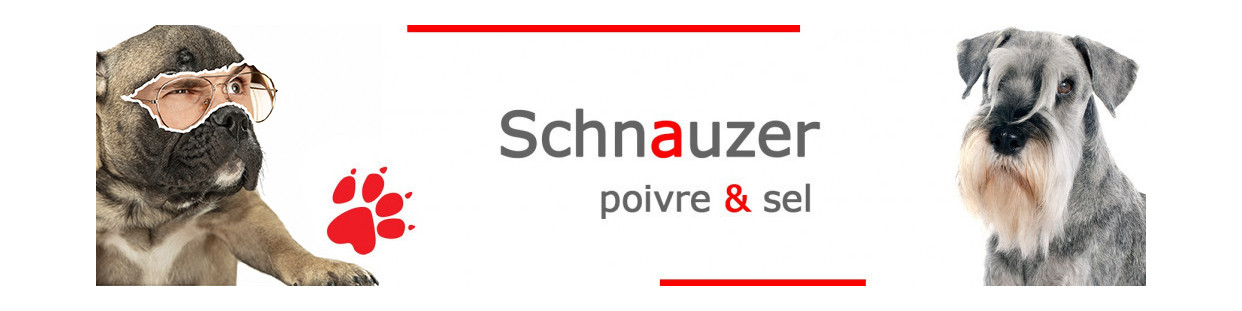Schnauzer Poivre et Sel – Plaques, stickers et porte-clés
