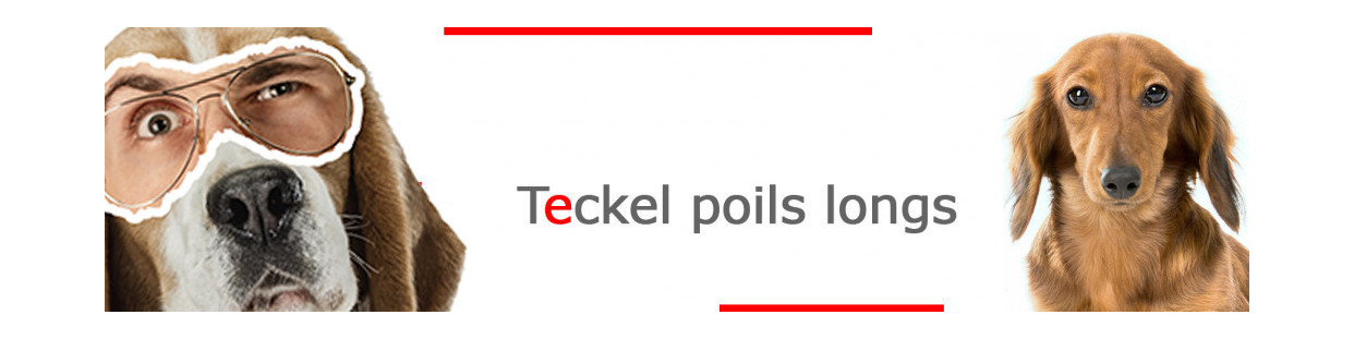 Teckel à Poil Long – Plaques, stickers et porte-clés